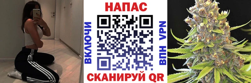 МЕФ Саров