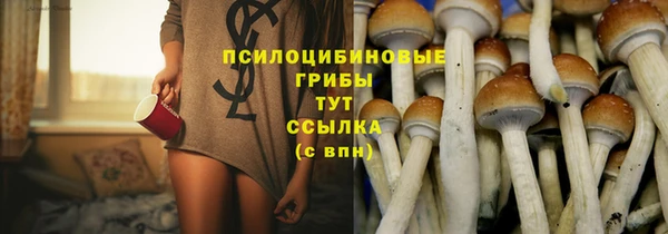 ALPHA-PVP Нязепетровск