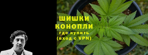 ПСИЛОЦИБИНОВЫЕ ГРИБЫ Беслан
