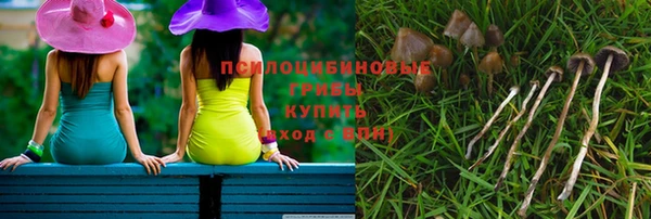 прущие крисы Билибино