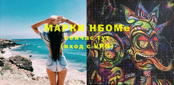 спиды Новозыбков