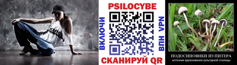 Псилоцибиновые грибы GOLDEN TEACHER  купить закладку  Саров 