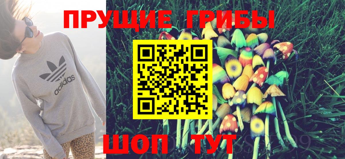 Саров  Псилоцибиновые грибы GOLDEN TEACHER  цены   Вход с VPN 
