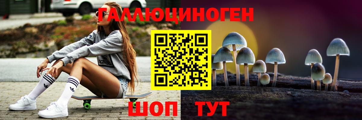 продажа наркотиков  Саров  Галлюциногенные грибы Cubensis 