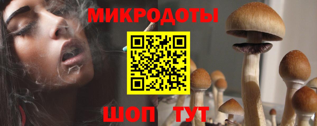 Псилоцибиновые грибы MAGIC MUSHROOMS Саров